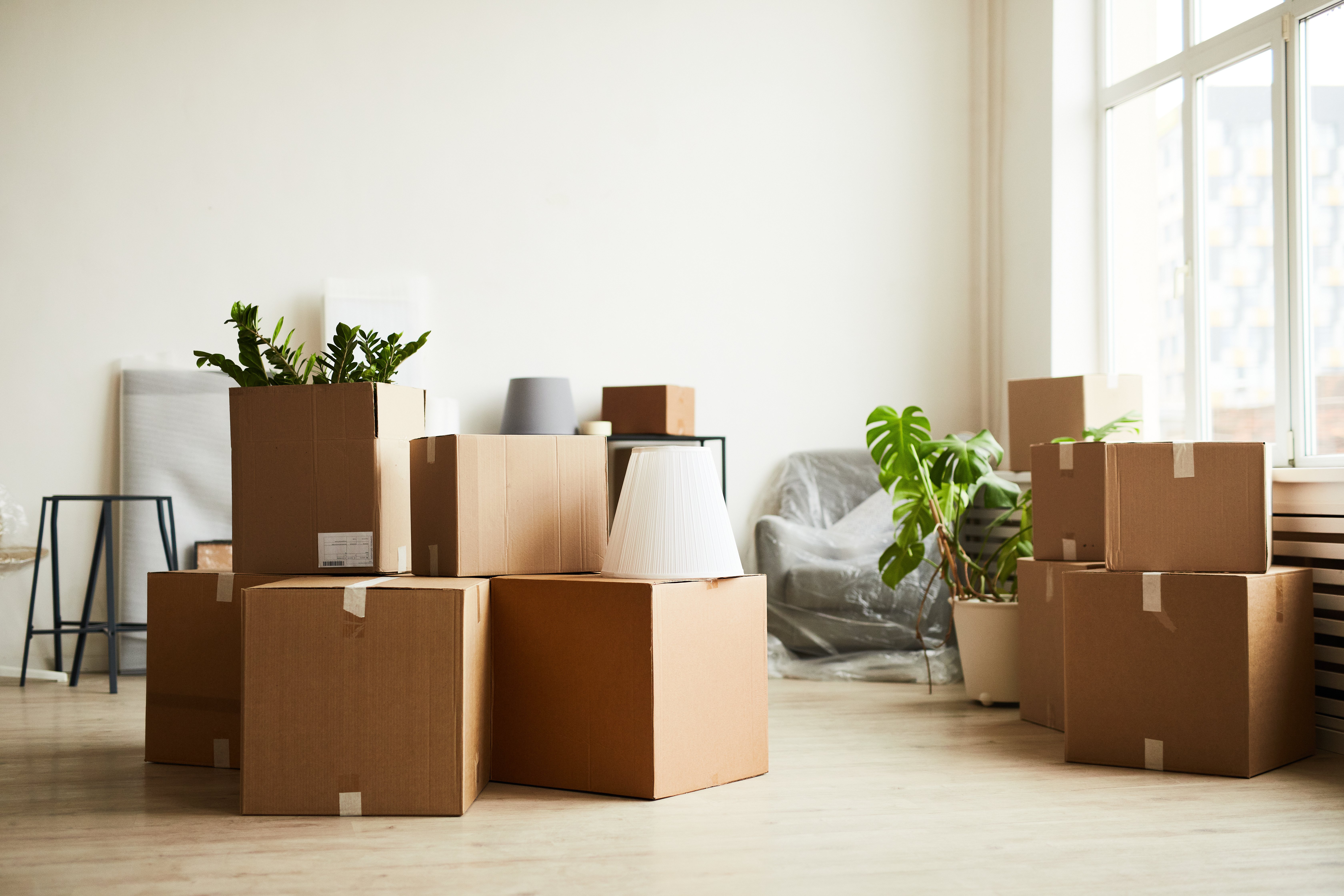 AdobeStock_459353063