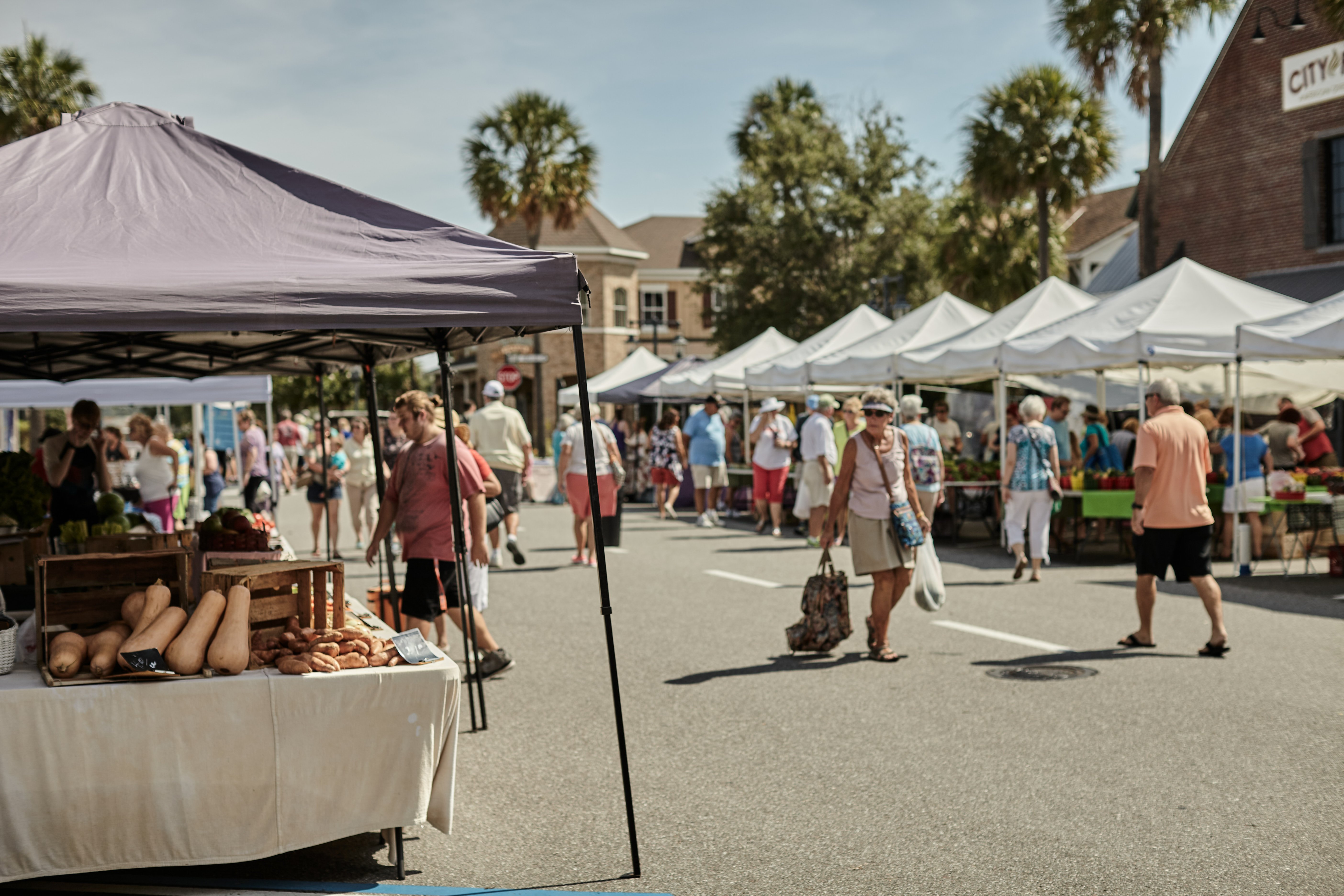 Palm Coast Events, Arts & Community Life